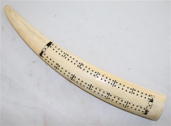 A 19th century walrus ivory cribbage board, 15.5in.